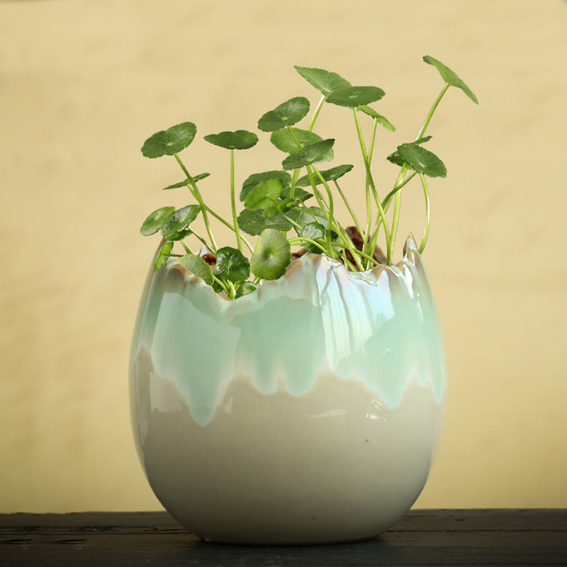 Hydrocotyle Hydroponic Ceramic Non-porous Flowerpot