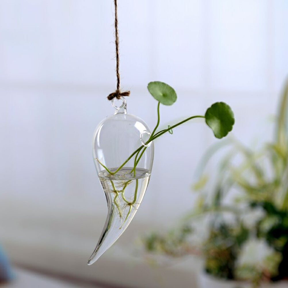 Hanging Transparent Glass Vase Simple Hydroponic Small Hanging Bottle