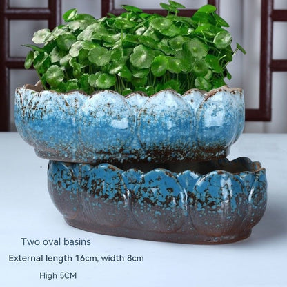 Non-porous Hydroponic Flowerpot Narcissus Hydrocotyle Household