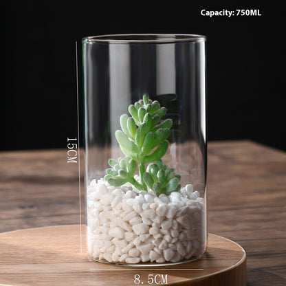 Indoor Tabletop Of High Borosilicate Glass Hydroponic Plant Bottle