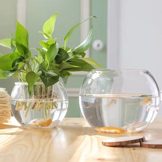 Transparent Ball Glass Vase Hydroponic Vessel Fish Globe Turtle Jar