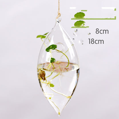 Hanging Transparent Glass Vase Simple Hydroponic Small Hanging Bottle