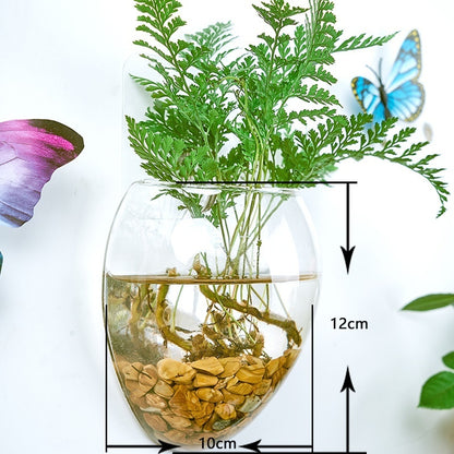 Creative Hydroponic Hanging Transparent Glass Vase