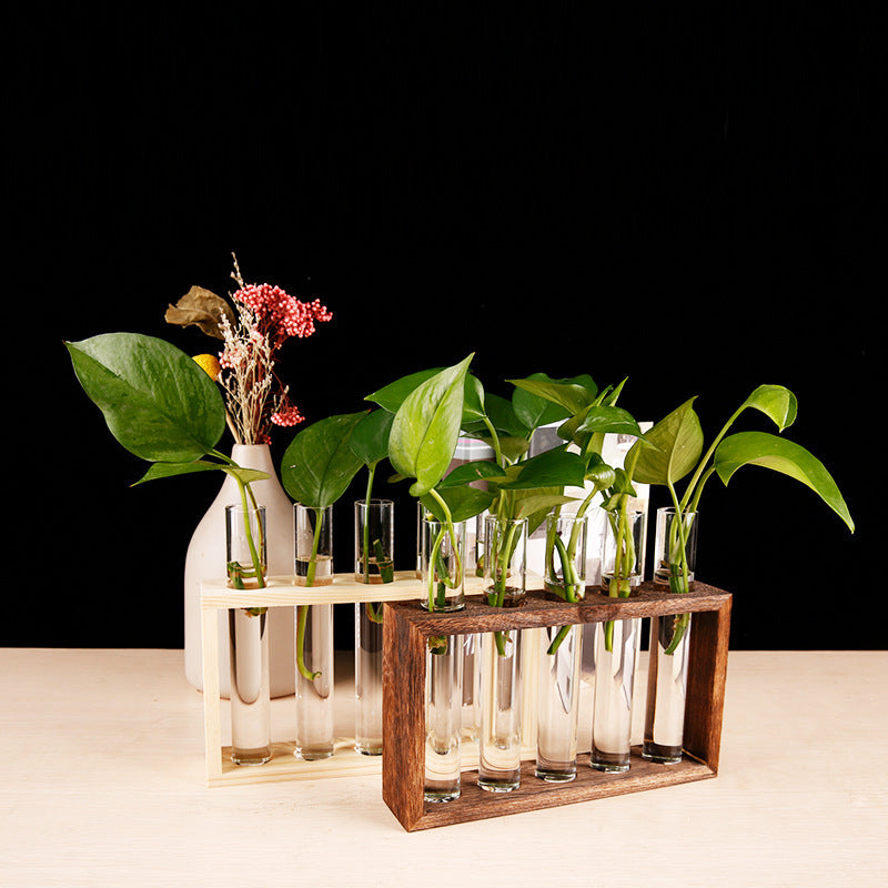 Glass Hydroponic Plants Wooden Stand Vase Test Tube