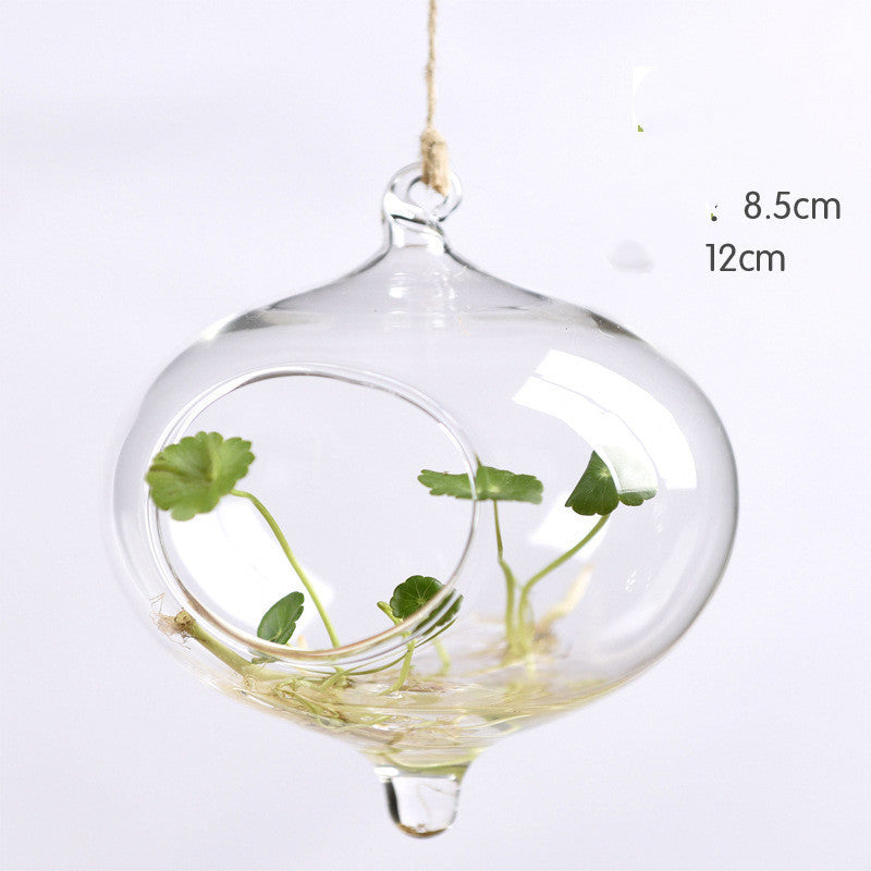 Hanging Transparent Glass Vase Simple Hydroponic Small Hanging Bottle