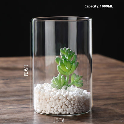 Indoor Tabletop Of High Borosilicate Glass Hydroponic Plant Bottle