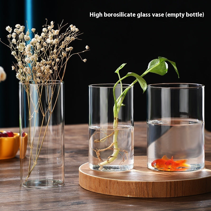 Indoor Tabletop Of High Borosilicate Glass Hydroponic Plant Bottle