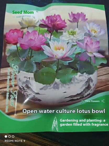 Open Bowl Lotus Seed Hydroponic Pot