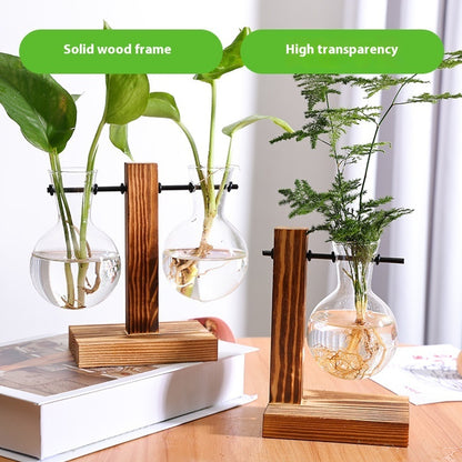 Jarrón decorativo de vidrio transparente con plantas hidropónicas creativas