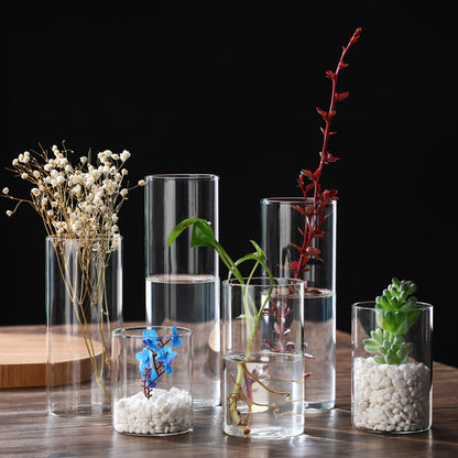 Indoor Tabletop Of High Borosilicate Glass Hydroponic Plant Bottle