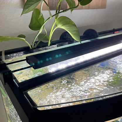 Estante para cultivo de plantas hidropónicas con marco para tanque de peces