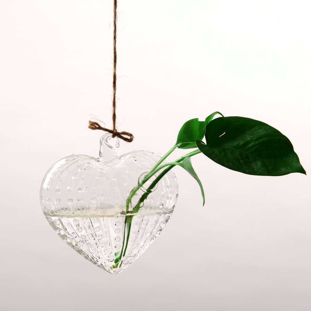 Hanging Transparent Glass Vase Simple Hydroponic Small Hanging Bottle