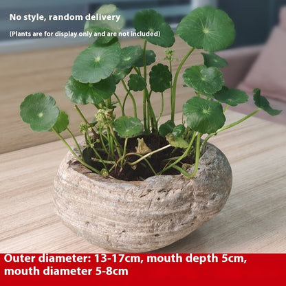 Personalized Hydroponic Fish Culture Stone Basin Medium