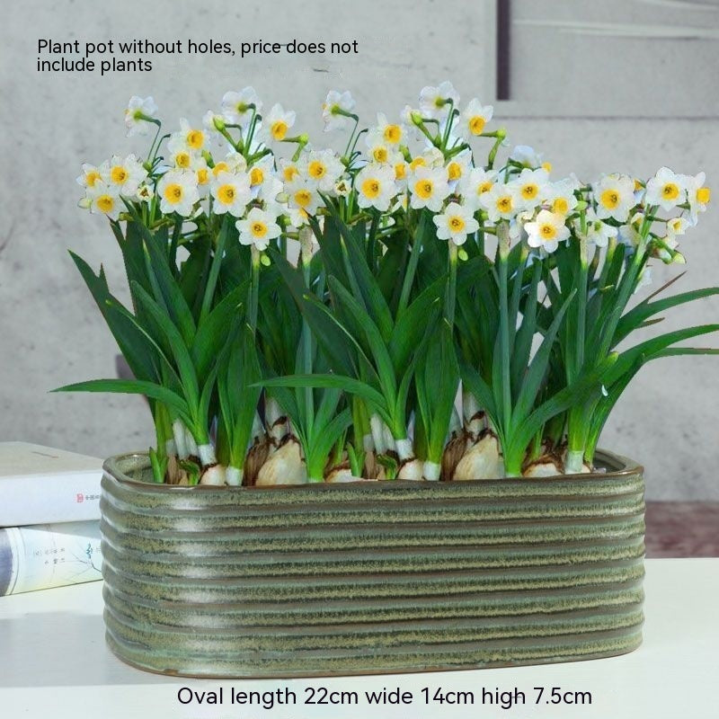 Non-porous Hydroponic Flowerpot Narcissus Hydrocotyle Household