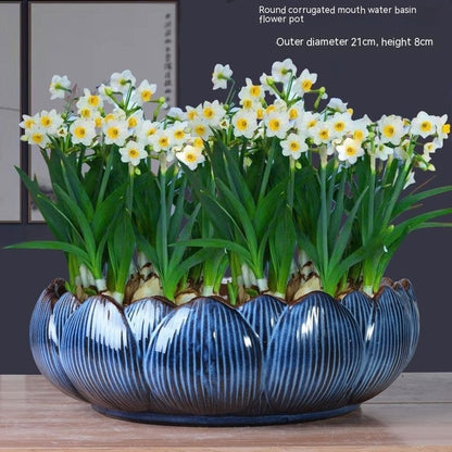 Non-porous Hydroponic Flowerpot Narcissus Hydrocotyle Household