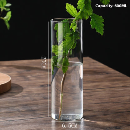 Indoor Tabletop Of High Borosilicate Glass Hydroponic Plant Bottle