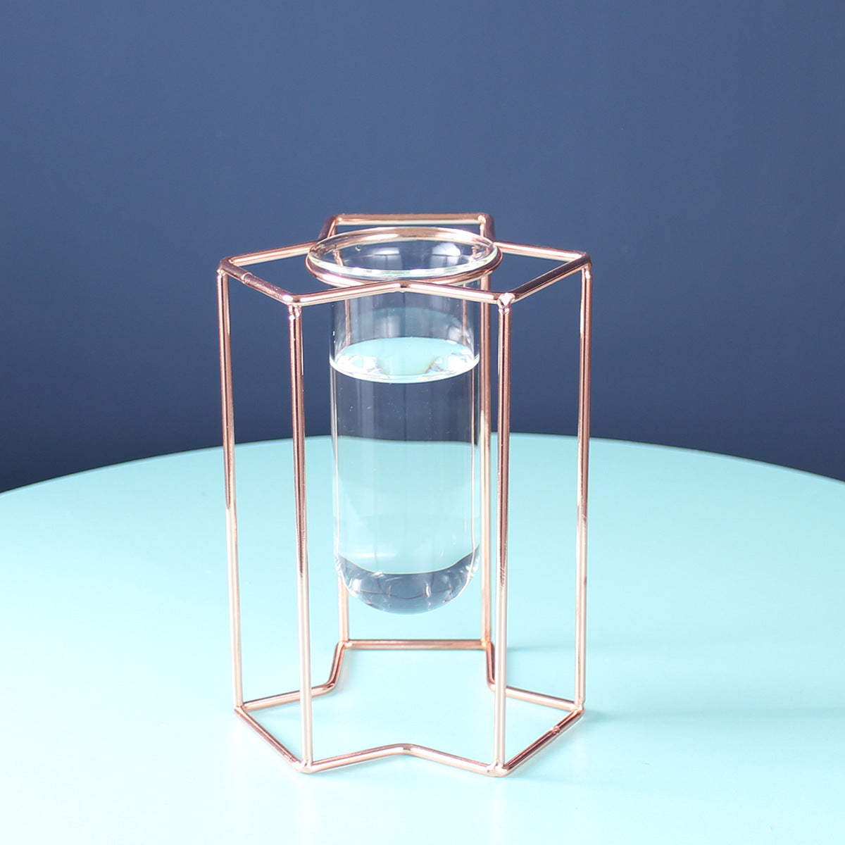 Hydroponic Glass Vase