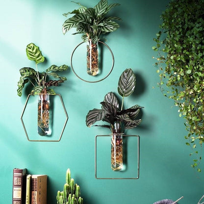 Vase Decoration Wall-mounted Hydroponic Flowerpot Hanging Wall Hanging