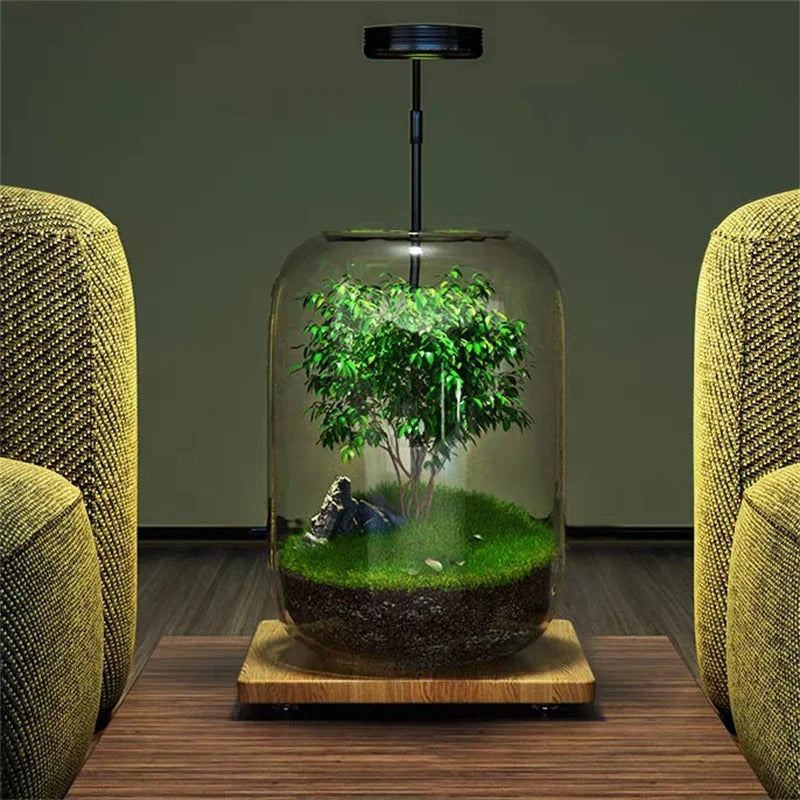 Glass Transparent Hydroponic Container Micro Landscape Landscaping Glass Flower Container