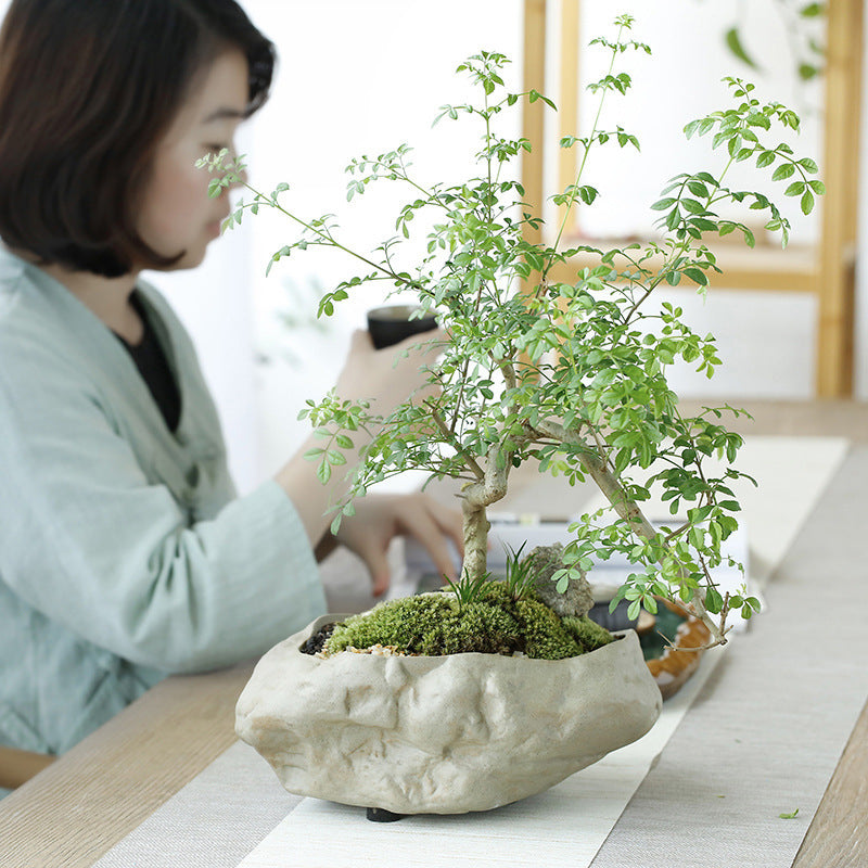 Stoneware Ceramic Flower Pot Chinese Stoneware Hydroponic Bowl