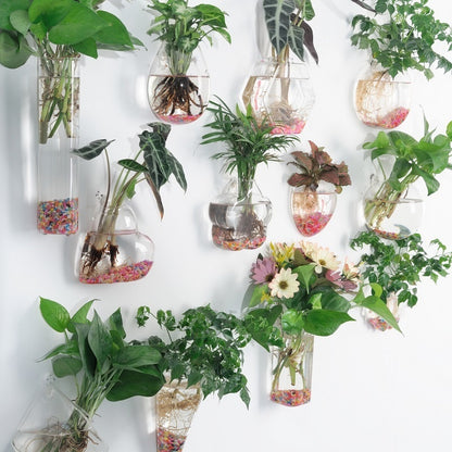 Creative Hydroponic Hanging Transparent Glass Vase