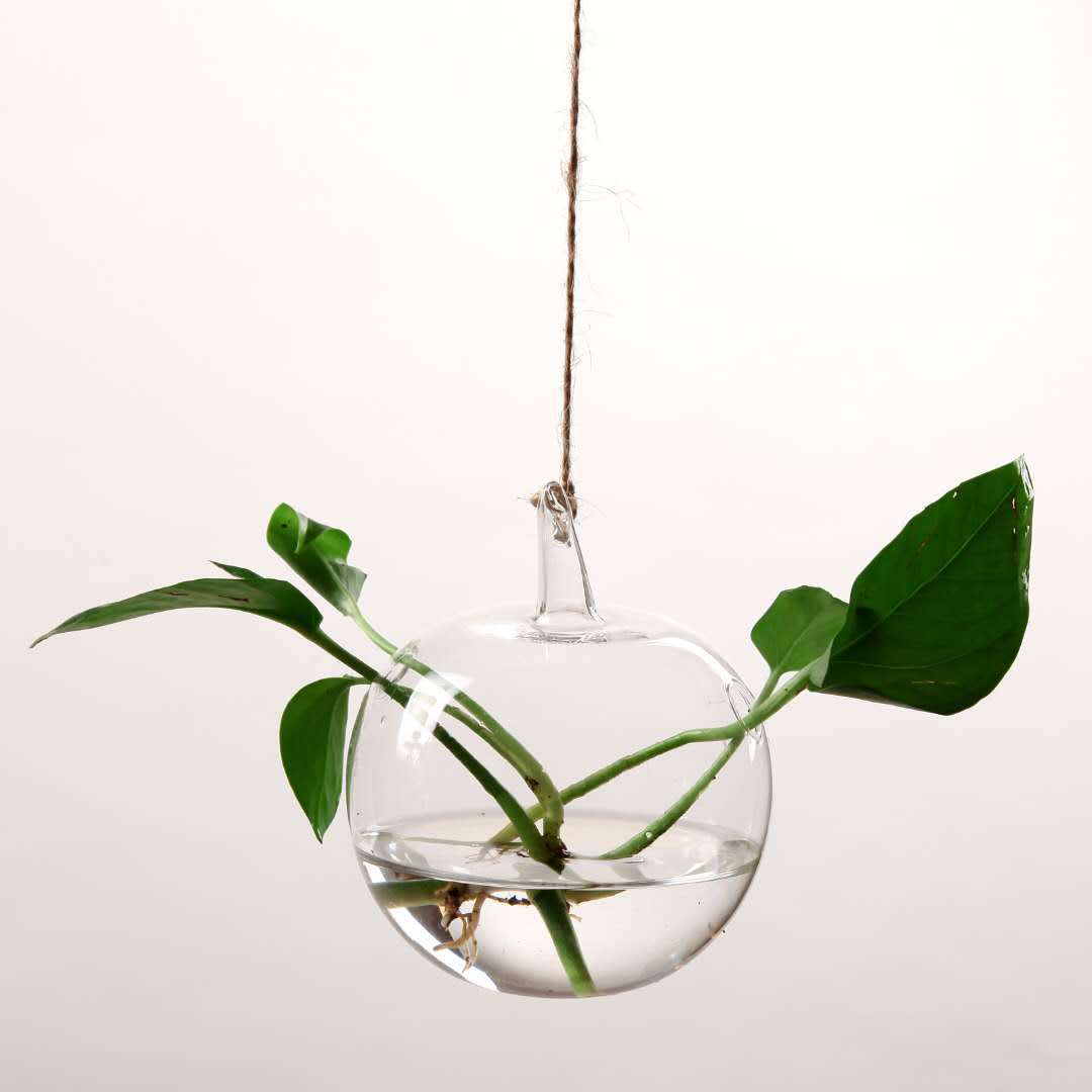 Hanging Transparent Glass Vase Simple Hydroponic Small Hanging Bottle