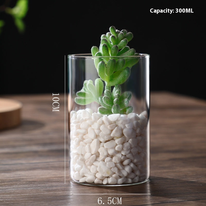 Indoor Tabletop Of High Borosilicate Glass Hydroponic Plant Bottle