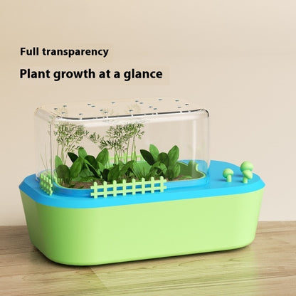 Exciting Hydroponics Observation Box for Kids