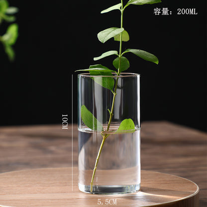 Indoor Tabletop Of High Borosilicate Glass Hydroponic Plant Bottle